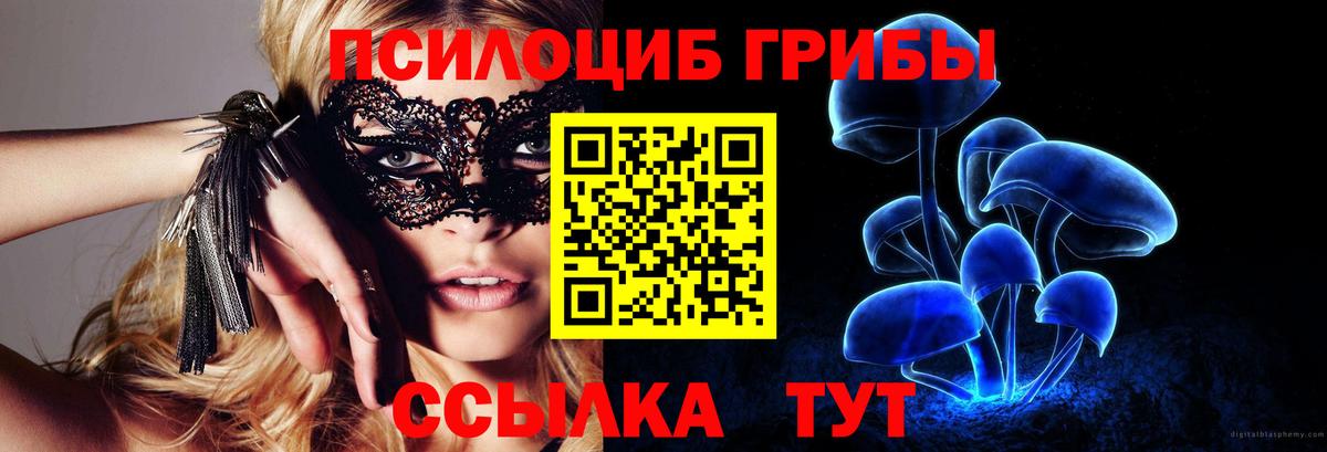 Братск  Псилоцибиновые грибы ЛСД  Вход с VPN 